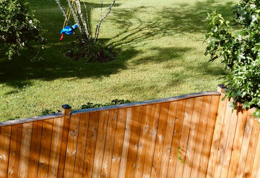 Stained wood privacy fence along the edge of a sunny backyard lawn
